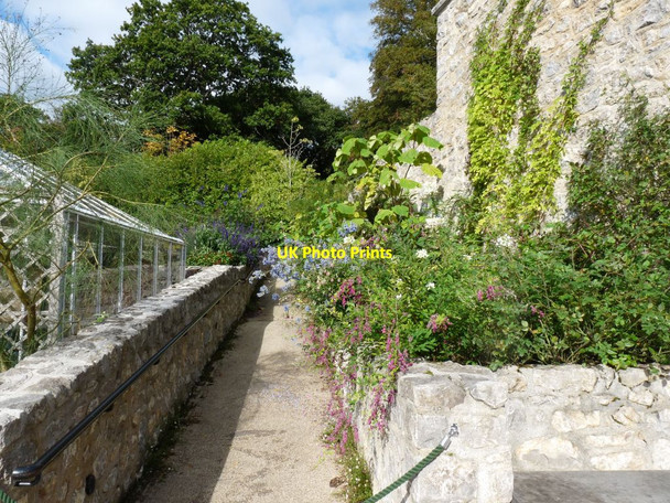 Photo 6"x4" Path outside the Shop at Bodnant Brymbo\/SH8071 c2013