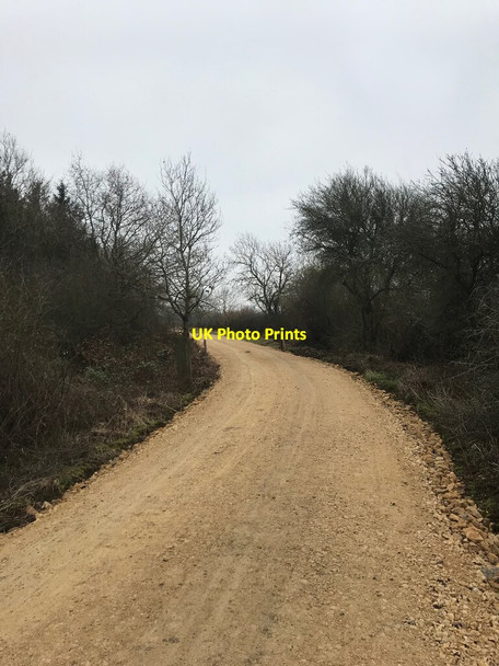 Photo 6"x4" Regraded forest road Lowick\/SP9780 c2022