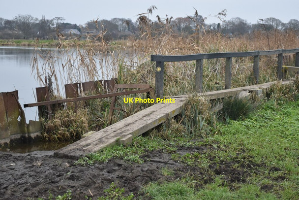 Photo 6"x4" Boardwalk beside the Avon Christchurch\/SZ1592 c2022