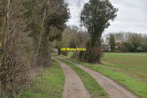 Photo 6"x4" Track to Hermitage Lane Barming Heath c2021