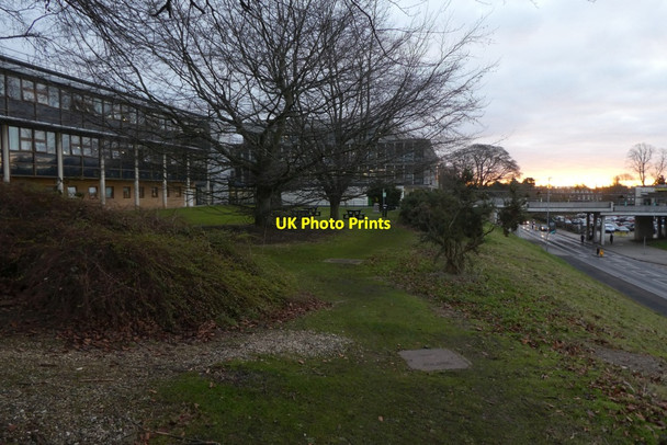 Photo 6"x4" Grassy area near Fairhurst Library Heslington c2022