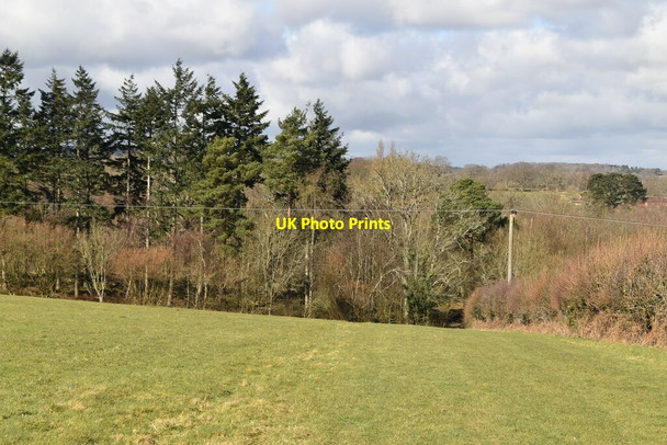 Photo 6"x4" Colliers Croft Wood Mountfield\/TQ7320 c2021