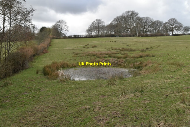 Photo 6"x4" Small pond Mountfield\/TQ7320 c2021