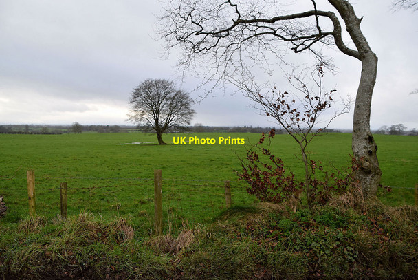 Photo 6"x4" Bracky Townland Milltown\/H5775 c2022