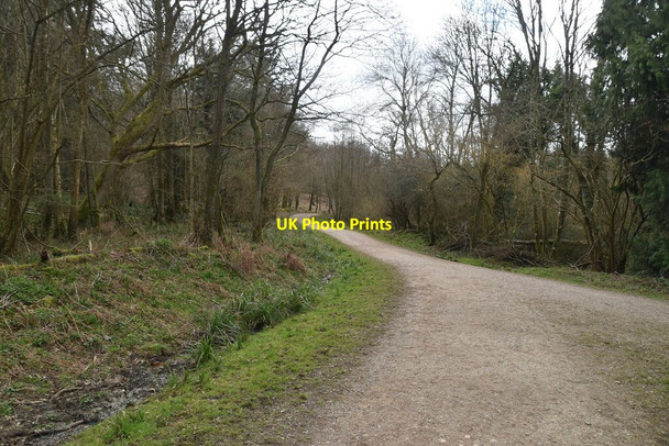 Photo 6"x4" Track, Darwell Wood Cackle Street\/TQ6919 c2021 P1