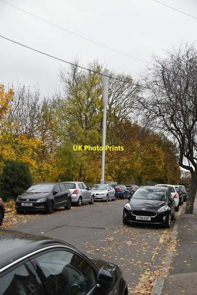 Photo 6"x4" Mast, Madeira Grove Woodford\/TQ4091 c2021