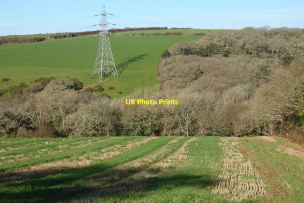 Photo 6"x4" Wood and farmland, St Erme Truthan c2022