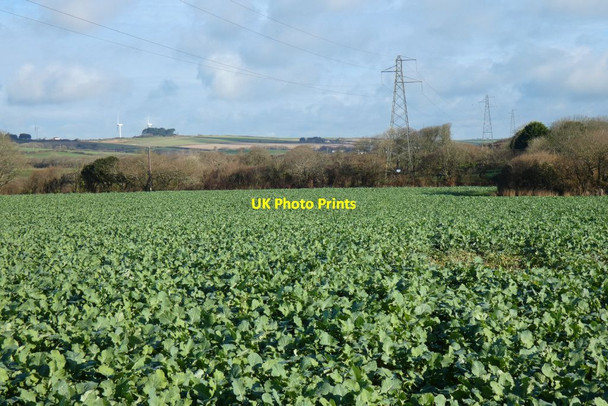 Photo 6"x4" Farmland, St Allen St Allen c2022