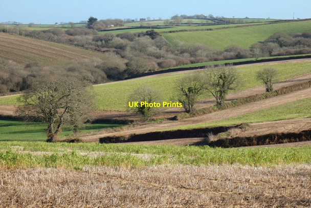 Photo 6"x4" Farmland, St Michael Penkevil Merther c2022
