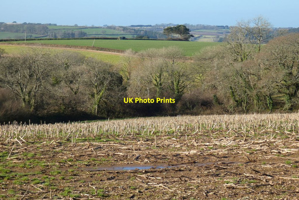Photo 6"x4" Farmland, St Michael Penkevil Merther c2022