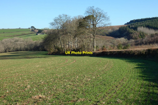 Photo 6"x4" Farmland, St Michael Penkevil Merther Lane c2022