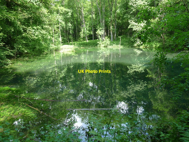 Photo 6"x4" Pool in Fishpool Valley Croft\/SO4565 c2012