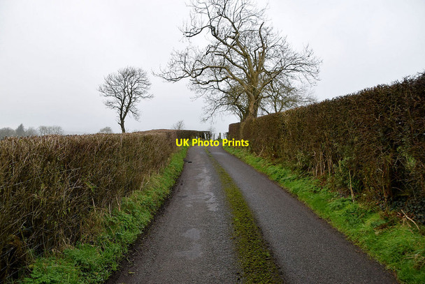 Photo 6"x4" Roeglen Road, Bracky Milltown\/H5775 c2022