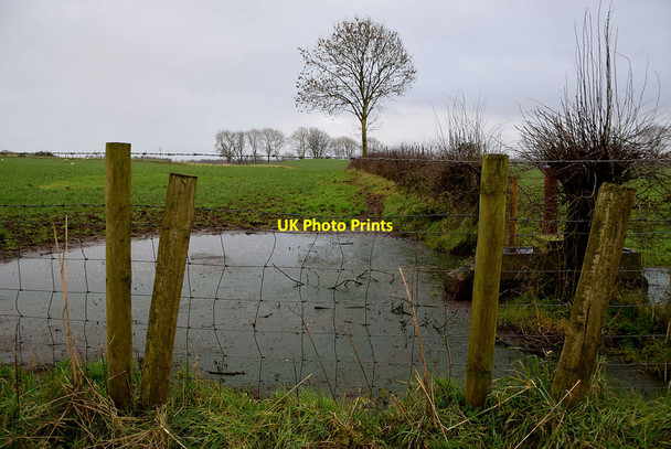 Photo 6"x4" A muddy pond, Bracky Milltown\/H5775 c2022