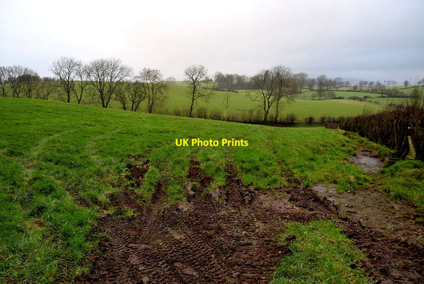 Photo 6"x4" Muddy ground, Bracky Milltown\/H5775 c2022
