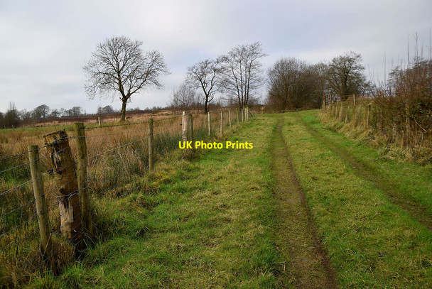 Photo 6"x4" Country lane, Deroran Beragh c2022