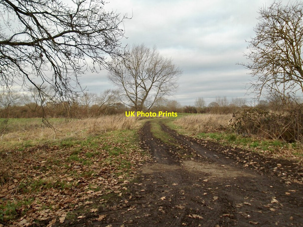 Photo 6"x4" Field track off Wheels Lane Carlton\/SE6424 c2022