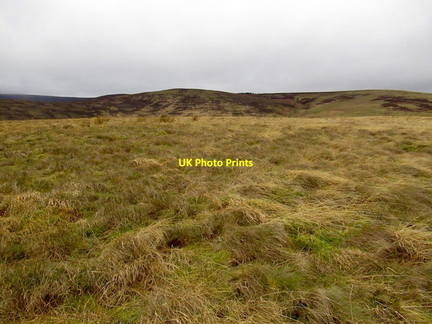 Photo 6"x4" Summit, The Struther Nether Shiels\/NT4146 c2022