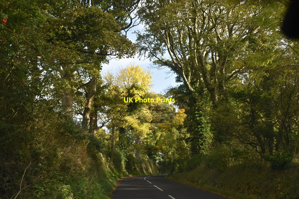 Photo 6"x4" Layde Rd Cushendall c2021