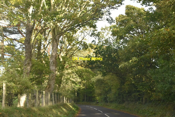 Photo 6"x4" Layde Rd Cushendall c2021 P1