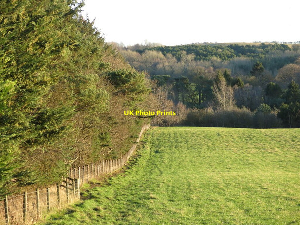 Photo 6"x4" Farmland and woodland in the valley of the Erring Burn Bingfield c2022