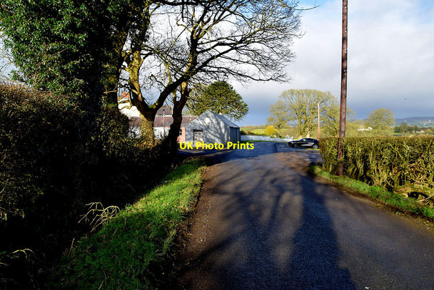 Photo 6"x4" Tree shadows along Drumeen Road Beragh c2022
