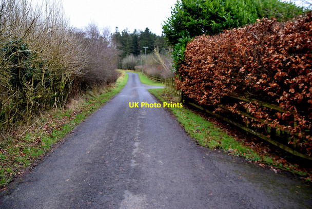 Photo 6"x4" Glengawna Road Mountjoy\/H4277 c2022