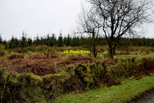 Photo 6"x4" Glengawna Townland Mountjoy\/H4277 c2022