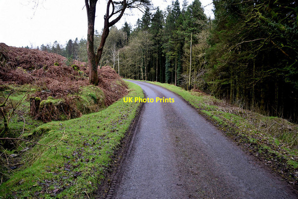 Photo 6"x4" Bend along Glengawna Road Mountjoy\/H4277 c2022