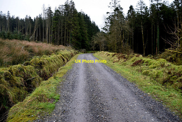 Photo 6"x4" Glengawna Foreat Mountjoy\/H4277 c2022