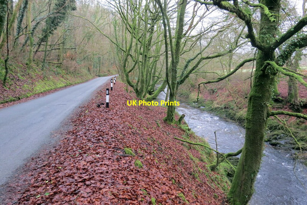 Photo 6"x4" Heol ac afon \/ Road and river Siloh c2022