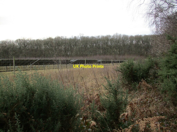 Photo 6"x4" Solar Farm, Budby North Forest Budby c2022