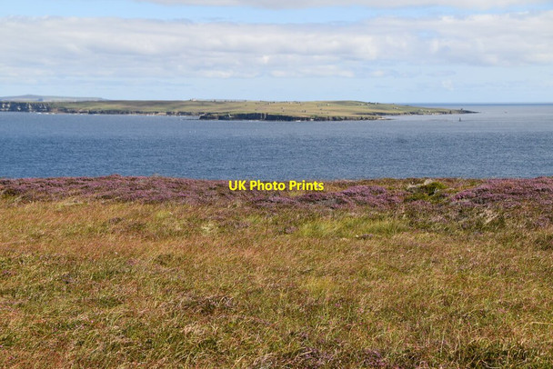 Photo 6"x4" Scoor Berry East Mey c2021