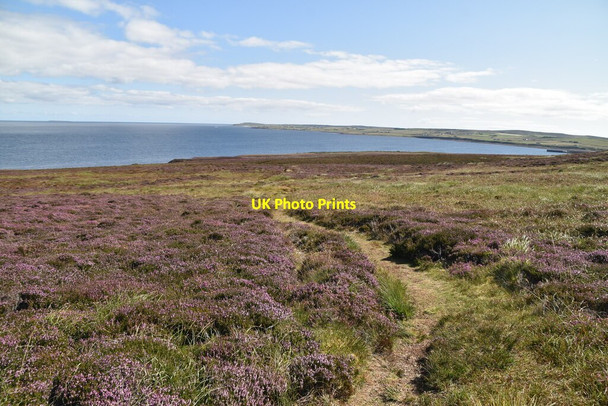 Photo 6"x4" Moorland, Mey Hill East Mey c2021