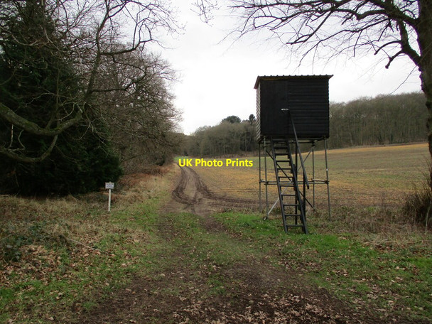 Photo 6"x4" Shooting box near Corunna Lodge Norton\/SK5772 c2022