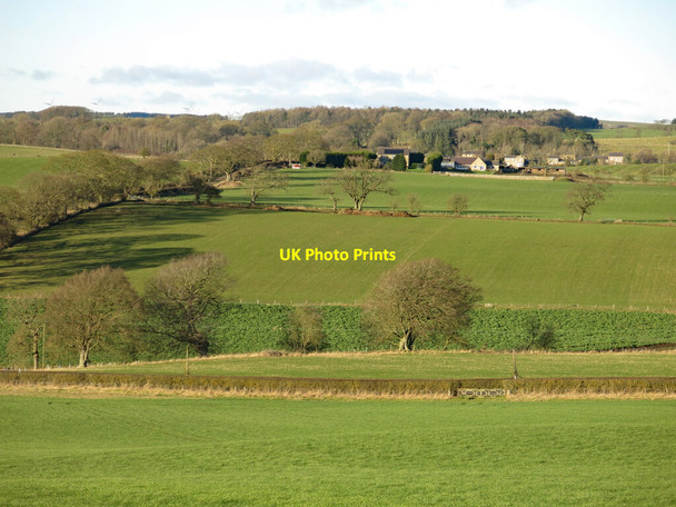 Photo 6"x4" Farmland between Bingfield East Quarter and Hallington Hallington\/NY9875 c2022