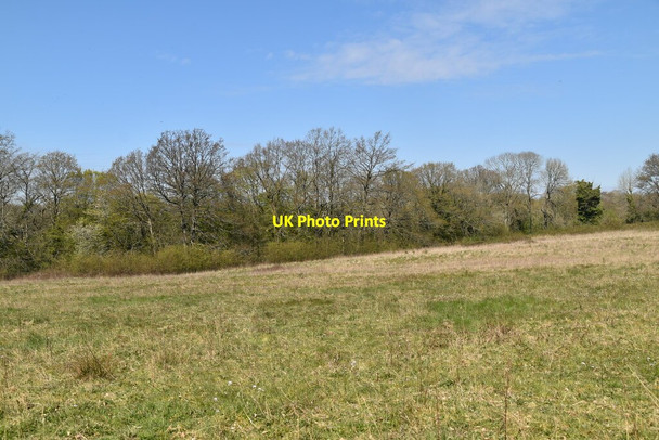 Photo 6"x4" Field by Sussex Border Path Furner's Green c2021