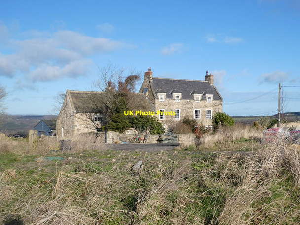 Photo 6"x4" Pontop Hall Dipton c2022