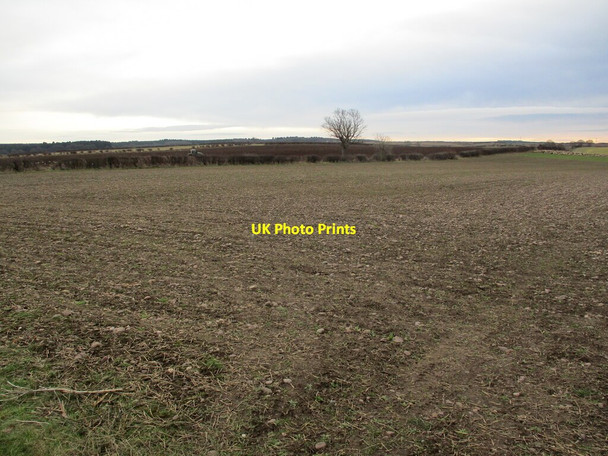 Photo 6"x4" Prepared field off Broomhill Lane Market Warsop c2022