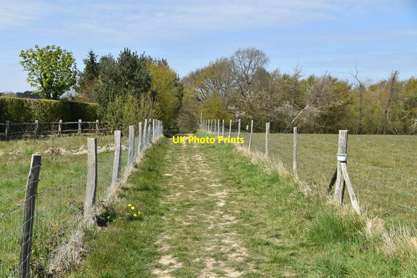 Photo 6"x4" Sussex Border Path Furner's Green c2021