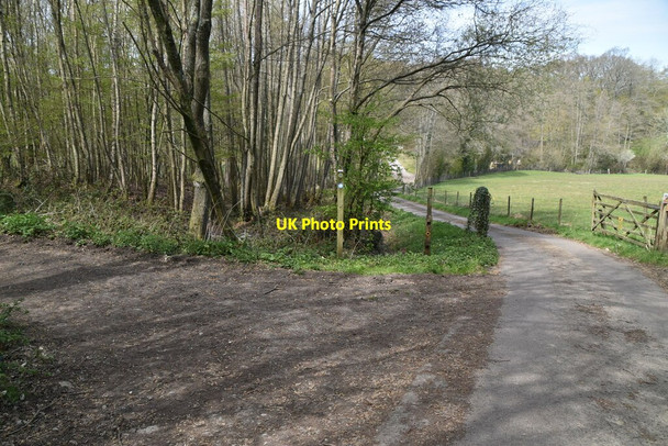 Photo 6"x4" Sussex Border Path Horsted Keynes c2021