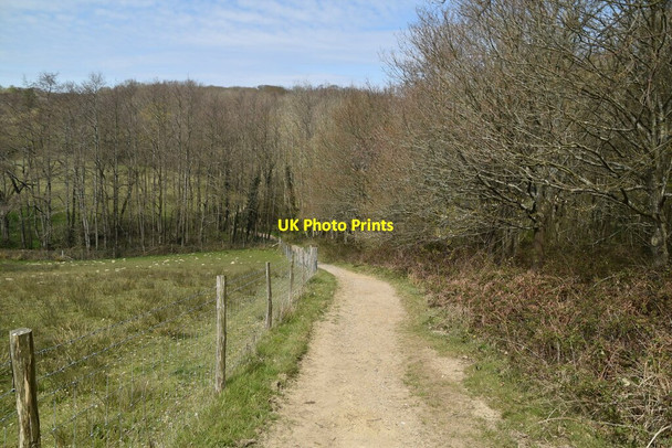Photo 6"x4" Sussex Border Path Horsted Keynes c2021