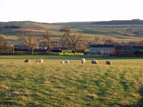 Photo 6"x4" Farmland around Well House Colwell\/NY9575 c2022