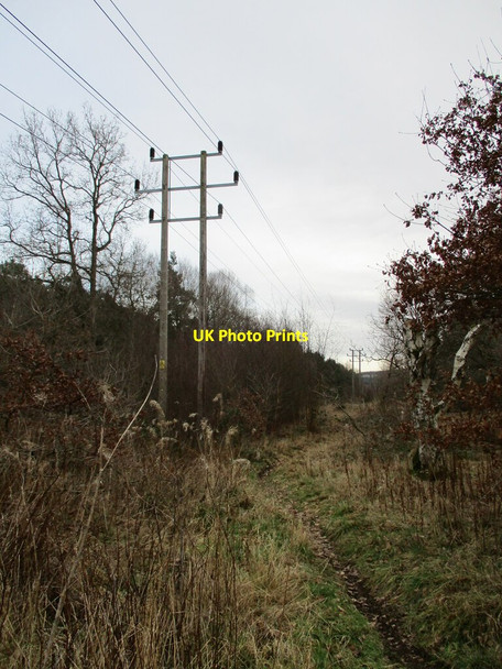Photo 6"x4" Power line, Budby South Forest Budby c2022