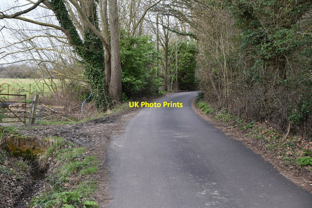 Photo 6"x4" Wagon Lane Queen Street c2021