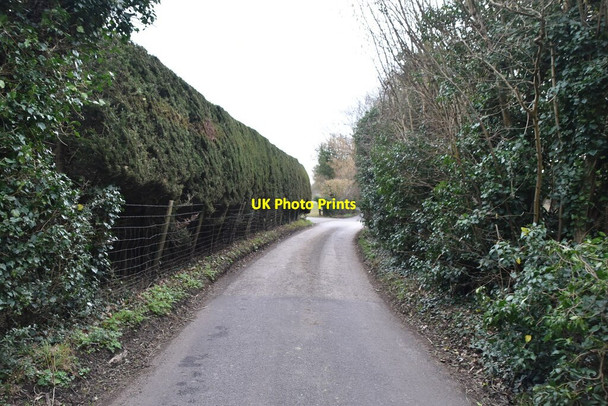 Photo 6"x4" Wagon Lane Queen Street c2021 P1