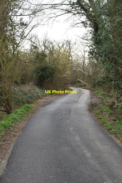 Photo 6"x4" Wagon Lane Queen Street c2021 P2