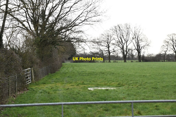 Photo 6"x4" Field by Willow Lane Queen Street c2021