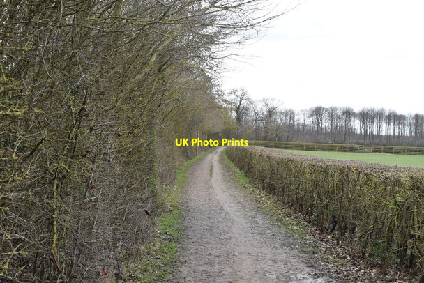 Photo 6"x4" Footpath by railway line Ditton\/TQ7157 c2021