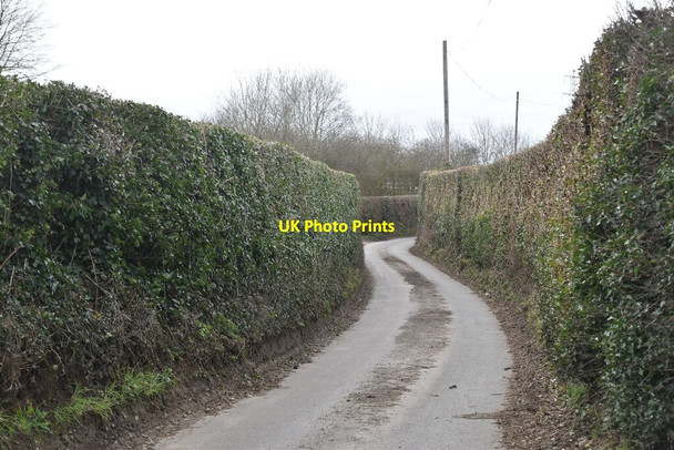 Photo 6"x4" Sweets Lane East Malling Heath c2021